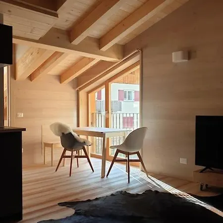 Mansarda Panoramica In Legno Apartment *